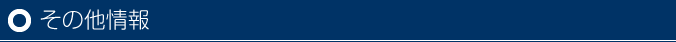 その他情報